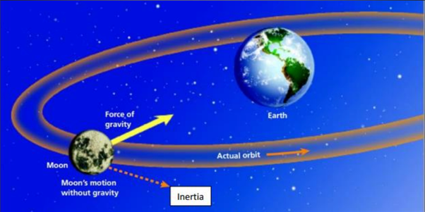 Earth's Centripetal Force and its Orbital Motion