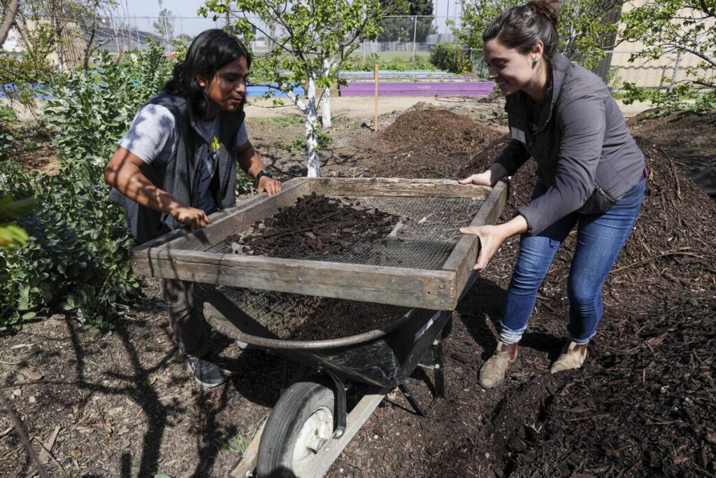 compost-pit